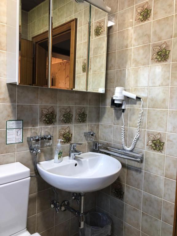 a bathroom with a sink and a toilet and a mirror at Haus Hubertus Pitztal Winterbuchung für Wintersaison oder Sommerbuchung mit Sommercard möglich in Jerzens