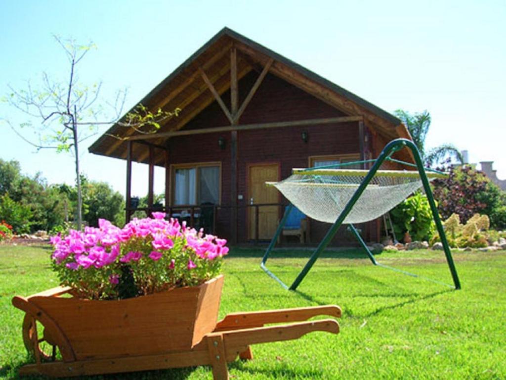 un vaso da fiori su una panchina di fronte a una casa di Tal Nof Cabins a Manot