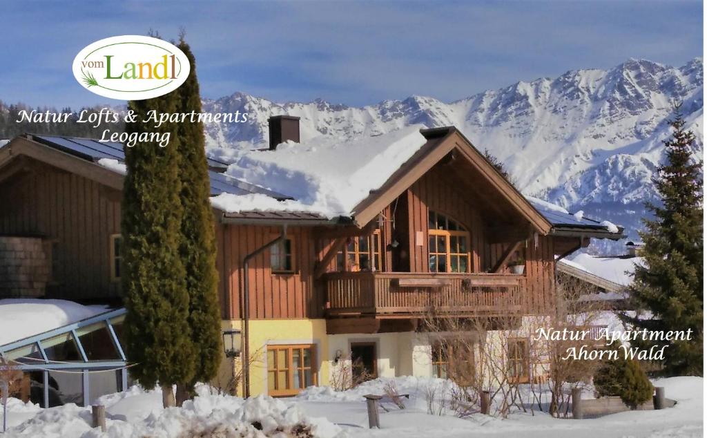 a house in the snow with a mountain at 103 m2 Apartment EschenWald vomLandl Leogang in Leogang