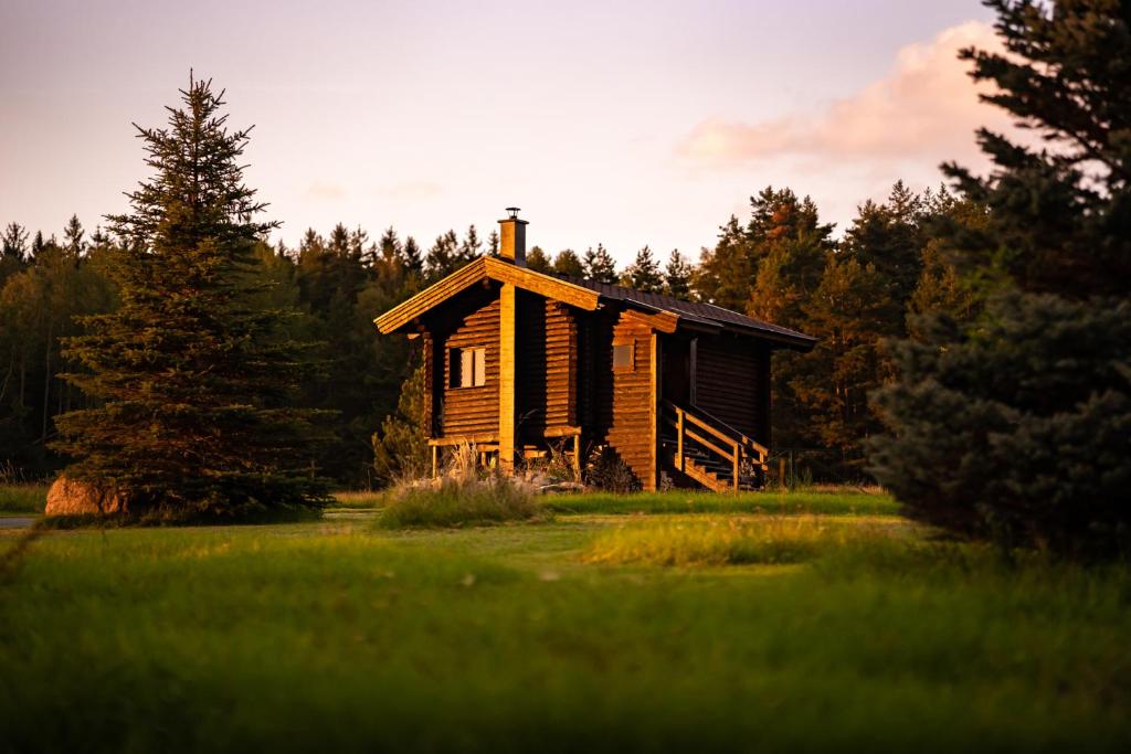 una pequeña casa de madera en un campo con árboles en Vyhlídkový srub na kraji Brd, en Hŭrky