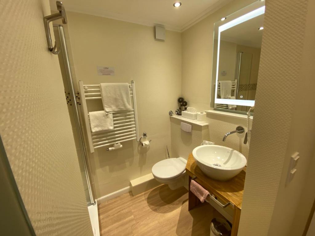 Hotel Hessischer Hof - Habitación Individual