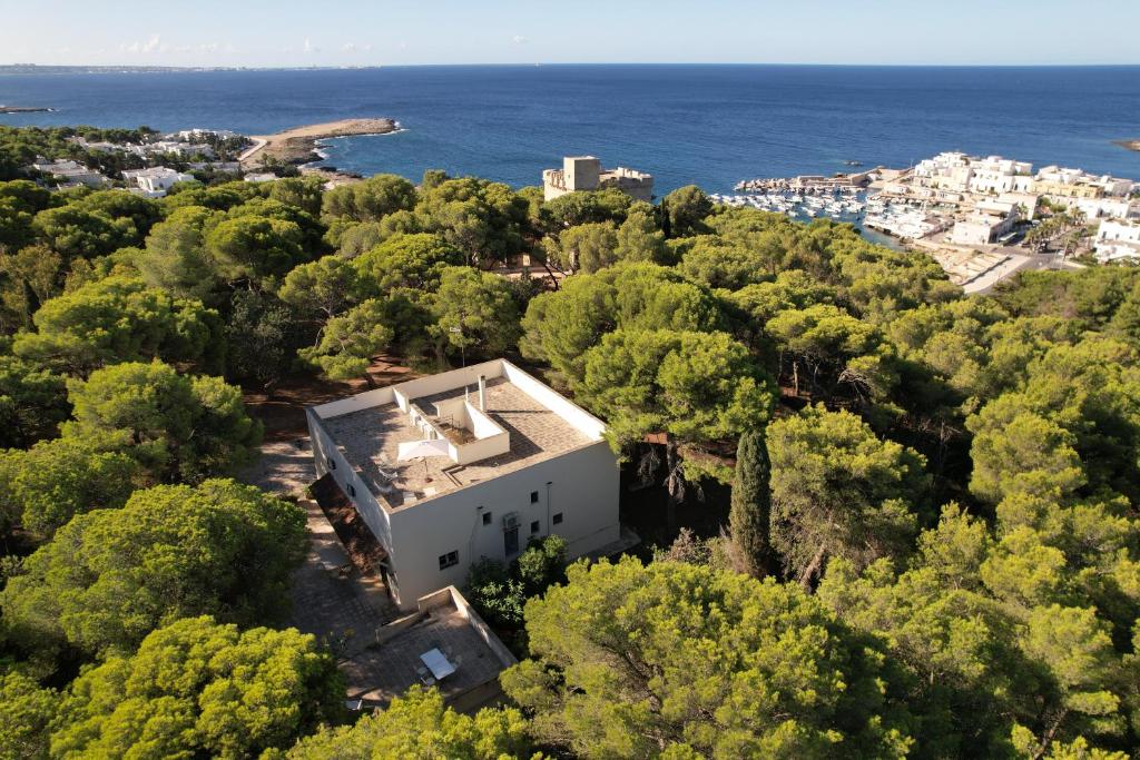 サンタ・カテリーナ・ディ・ナルドにあるVilla nella Pinetaの木々と海の家の空中