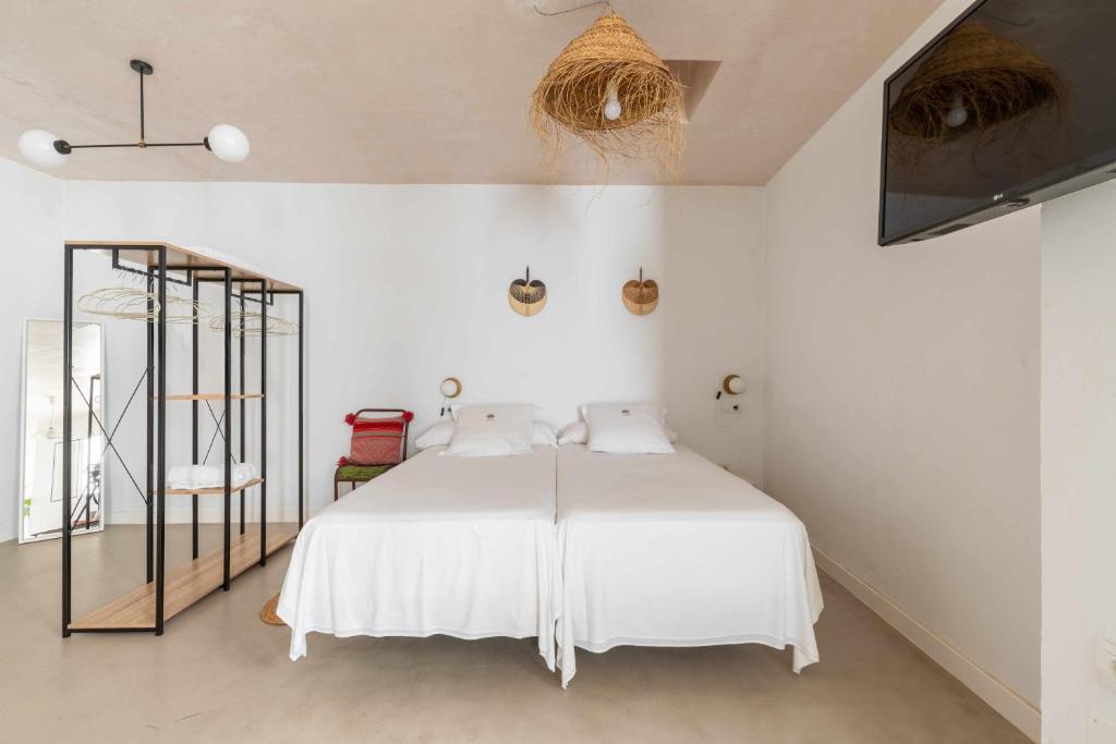 Erizo 3 loft diafáno en el Centro Histórico, Tarifa – Precios ...