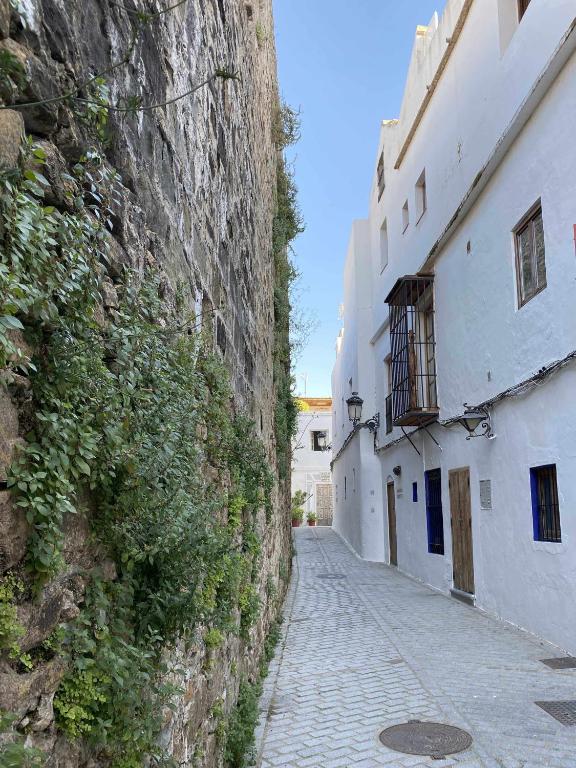 Erizo 3 loft diafáno en el Centro Histórico, Tarifa – Updated ...