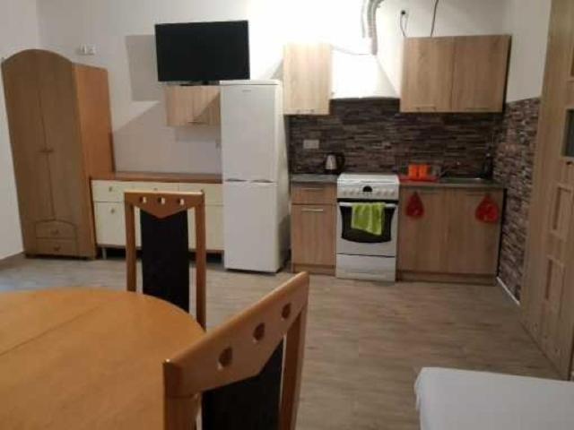Kuchyňa alebo kuchynka v ubytovaní Noclegi u Dorota