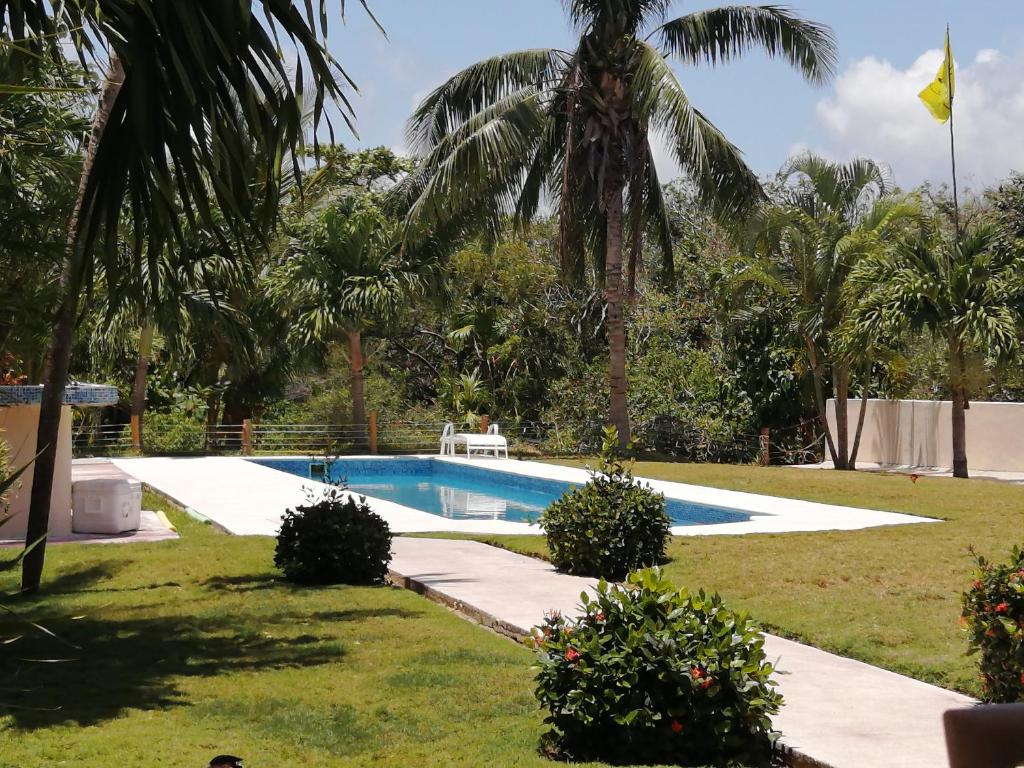 a swimming pool in a yard with palm trees at Villa Camilla in Puerto Aventuras