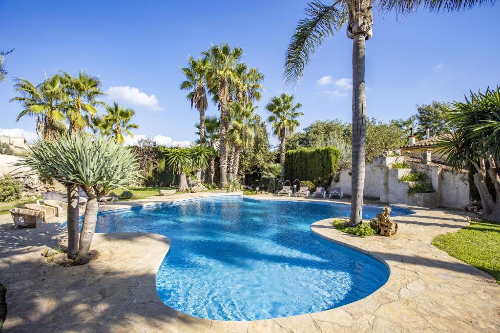 a swimming pool with palm trees in a yard at Villa Can Gual Family Suite in Inca
