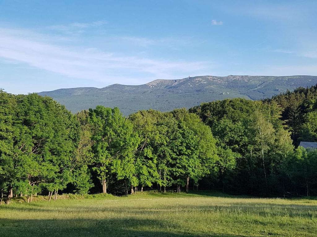 Príroda v okolí apartmánu