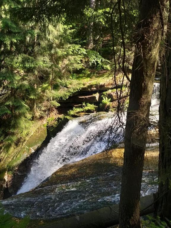 Príroda v okolí apartmánu