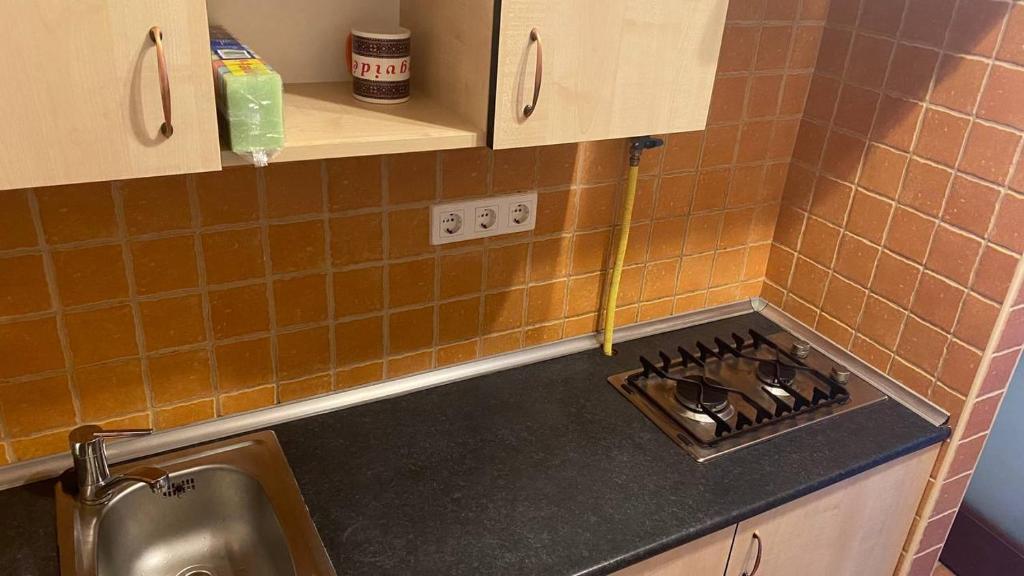 Kuchyňa alebo kuchynka v ubytovaní Budapest Flat Rent