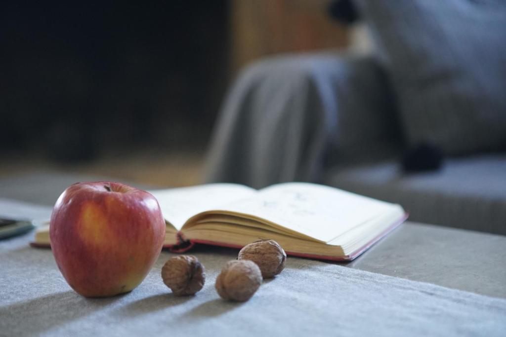 an apple and nuts on a table with an open book at Katakolo 180ο Sea View house near Ancient Olympia in Katakolon