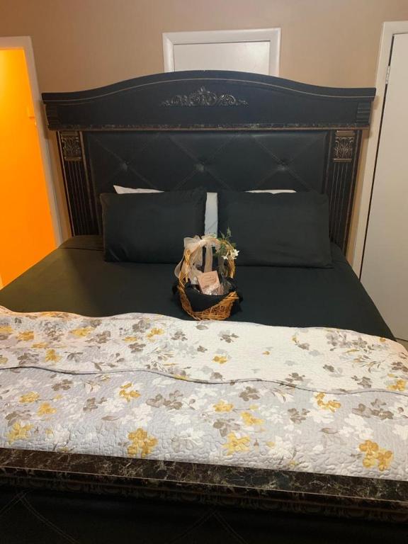 #2BR Cozy Villa - Mins to Historic STM Amusement Park! - Villa De Deux Chambres
