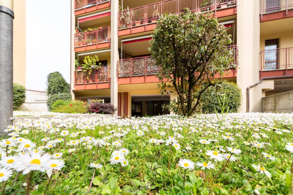 Vonkajšia záhrada v ubytovaní Residenza Smeraldo - Terrazza San siro