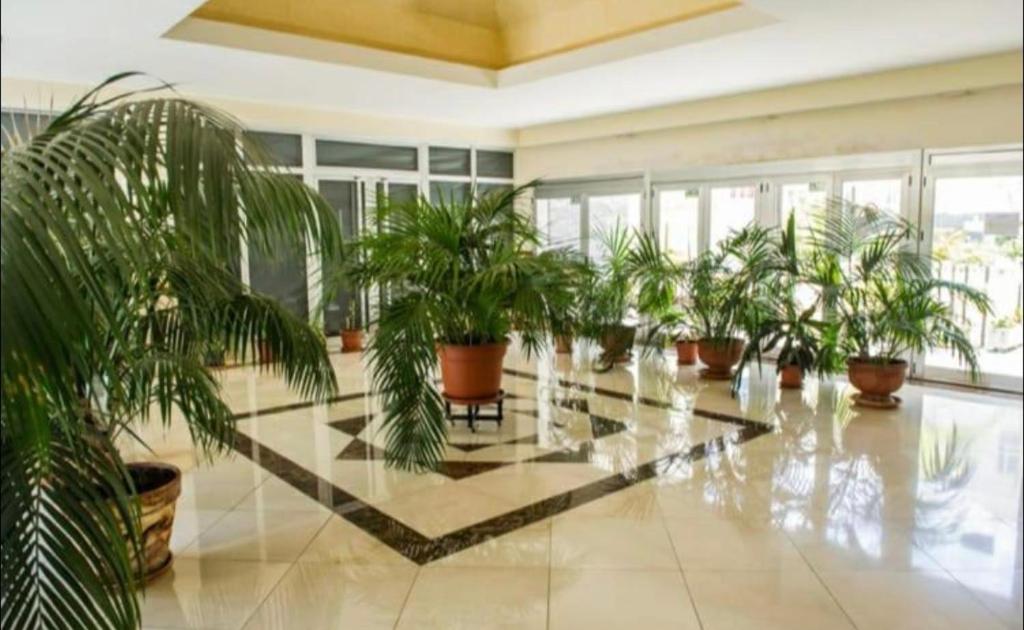 Zdjęcie z galerii obiektu Precioso apartamento en residencial con piscina cerca de la playa w mieście Gáldar