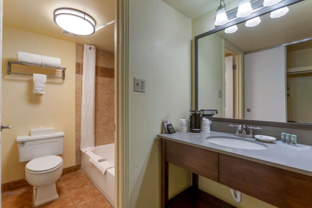 Best Western Phoenix Goodyear Inn - Habitación King