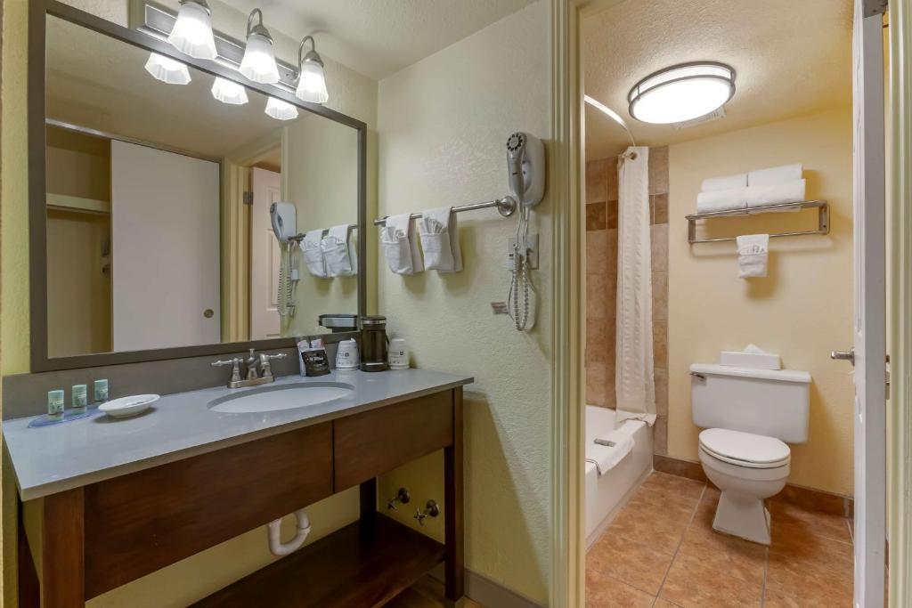 Best Western Phoenix Goodyear Inn - Habitación Queen Con Dos Camas Queen