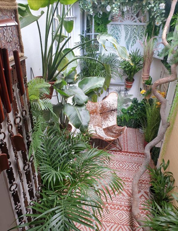 a room with a bunch of plants in it at London Park Haven in London
