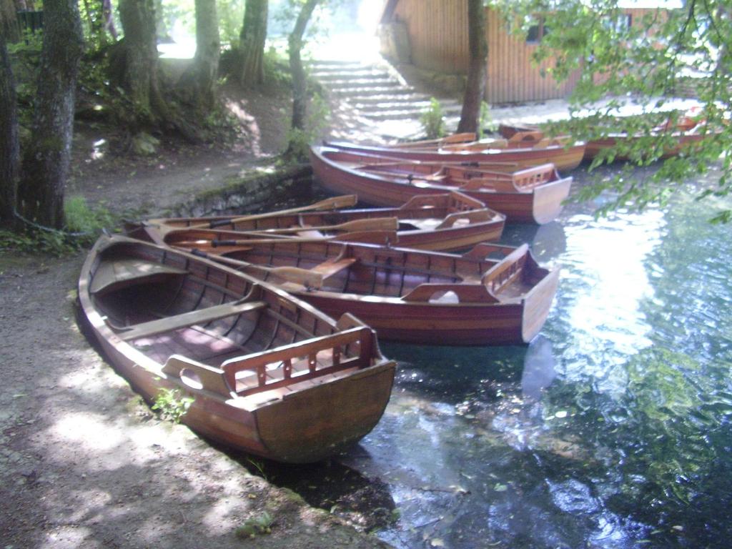 Apartman & Sobe Orhideja - 4