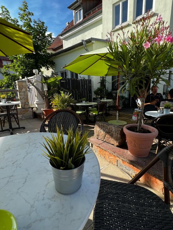 a table and chairs with plants on a patio at Gästehaus Lena in Mudau