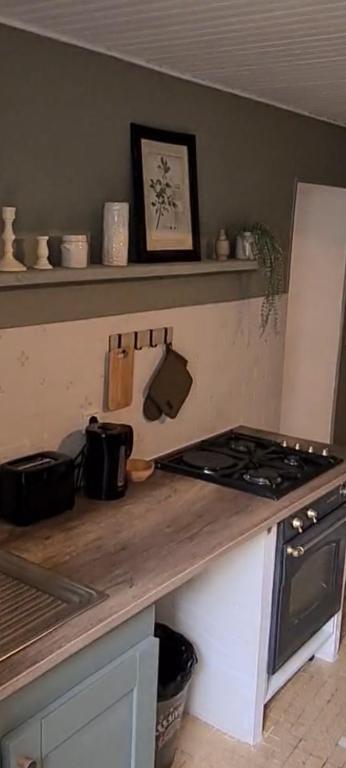 Kuchyň nebo kuchyňský kout v ubytování Gite de la Châteldonnaise