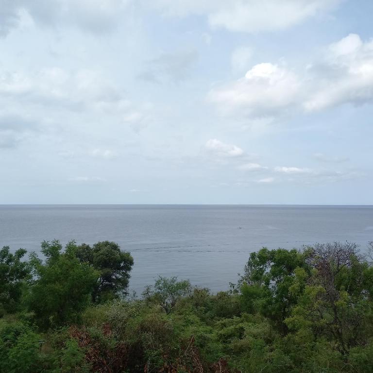 a view of the ocean from a hill with trees at Anda Amed Villas & Spa in Amed
