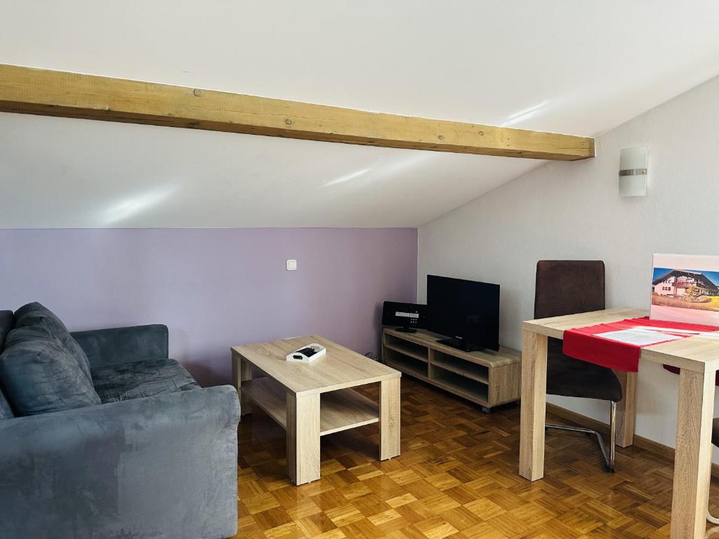 TV a/nebo společenská místnost v ubytování Ferienwohnungen Bachblick