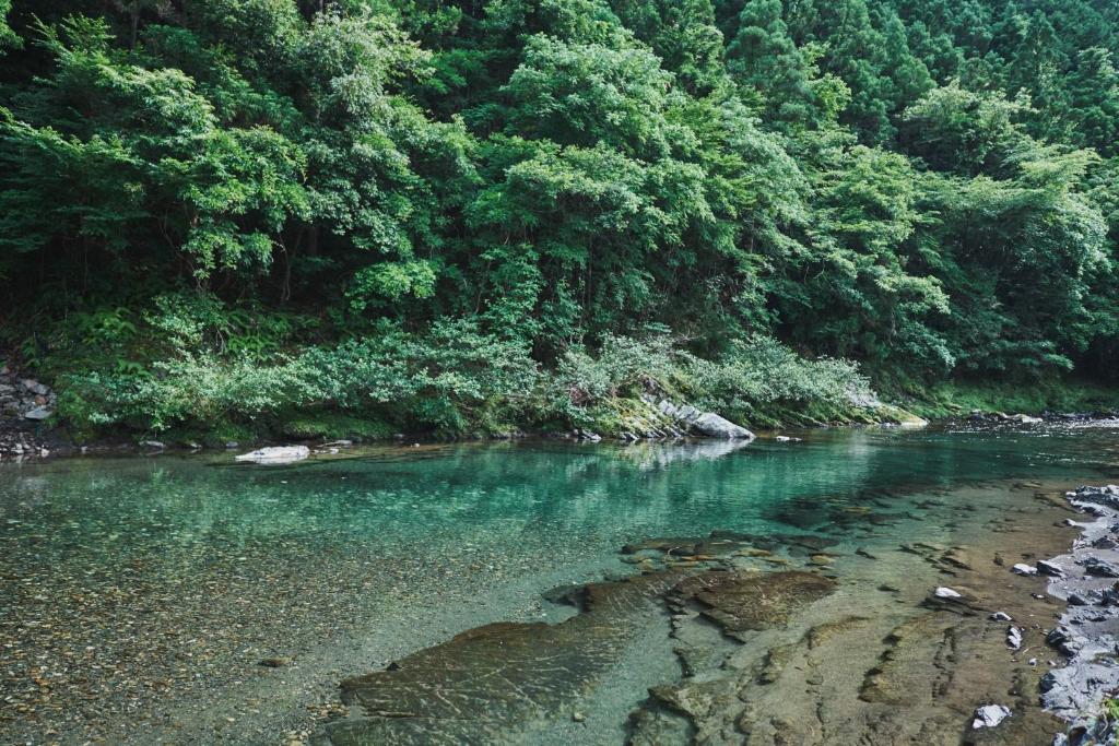 un río con agua turquesa en un bosque en Kumano shiki-tei - Vacation STAY 05155v en Hongu