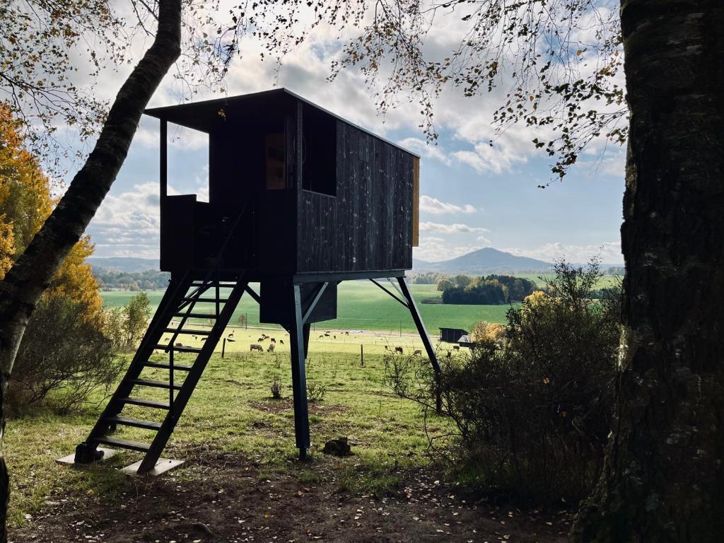 a tree house with a ladder next to a tree at Krabička K74 in Jablonné v Podještědí