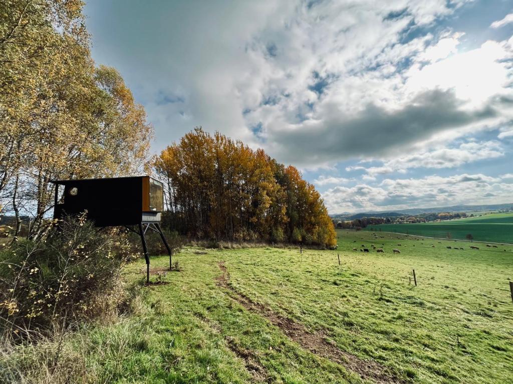 Příroda nedaleko luxury tent