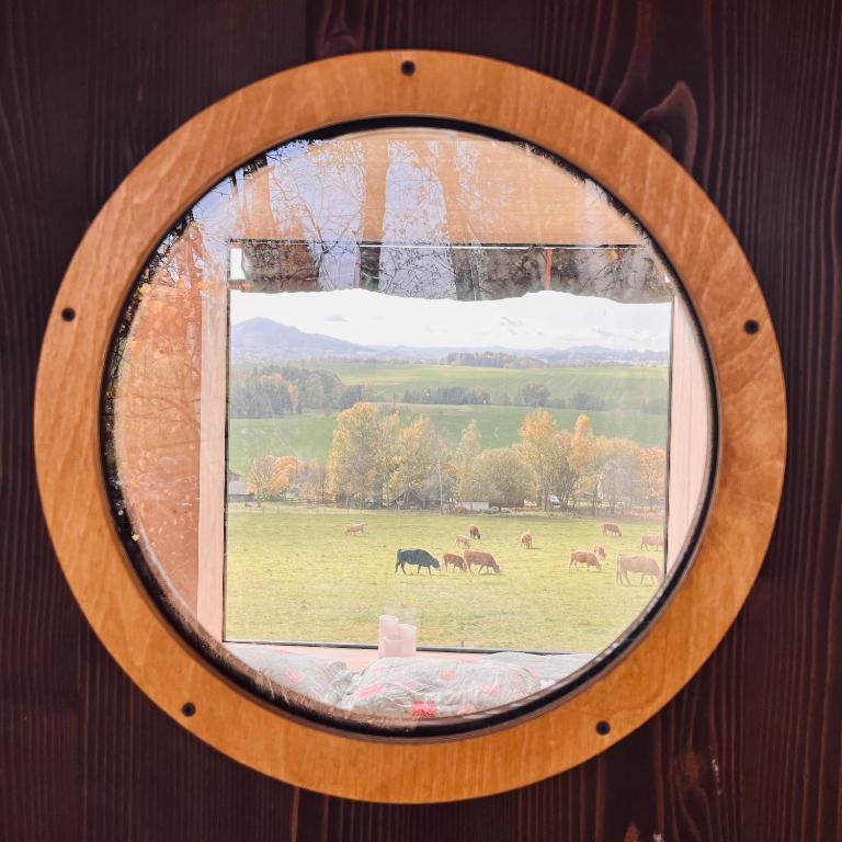 Fotografie z fotogalerie ubytování Krabička K74 v destinaci Jablonné v Podještědí