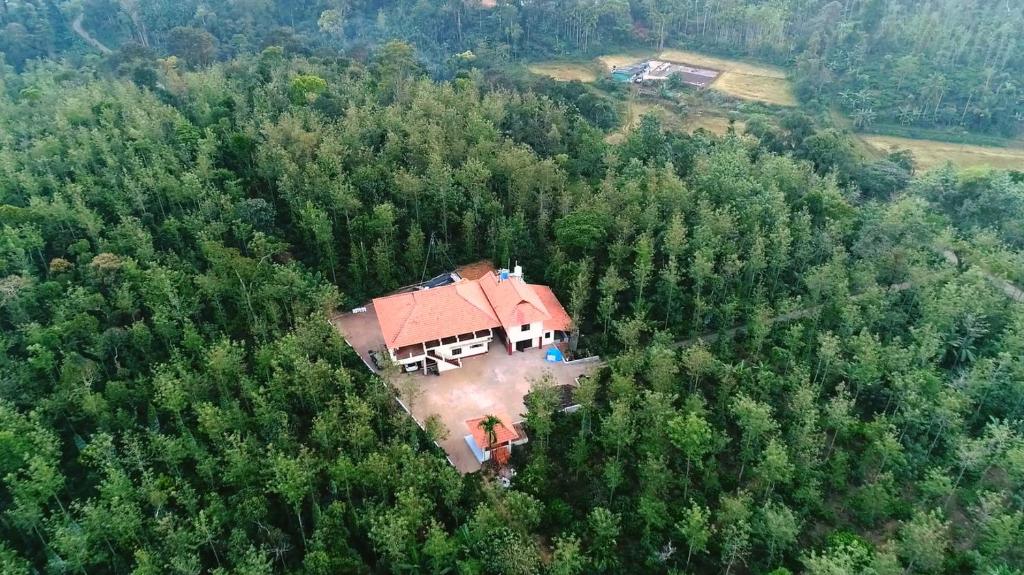 uma vista aérea de uma casa no meio de uma floresta em Coorg Bliss Estate Stay em Madikeri