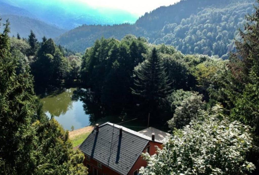 Příroda nedaleko apartmánu