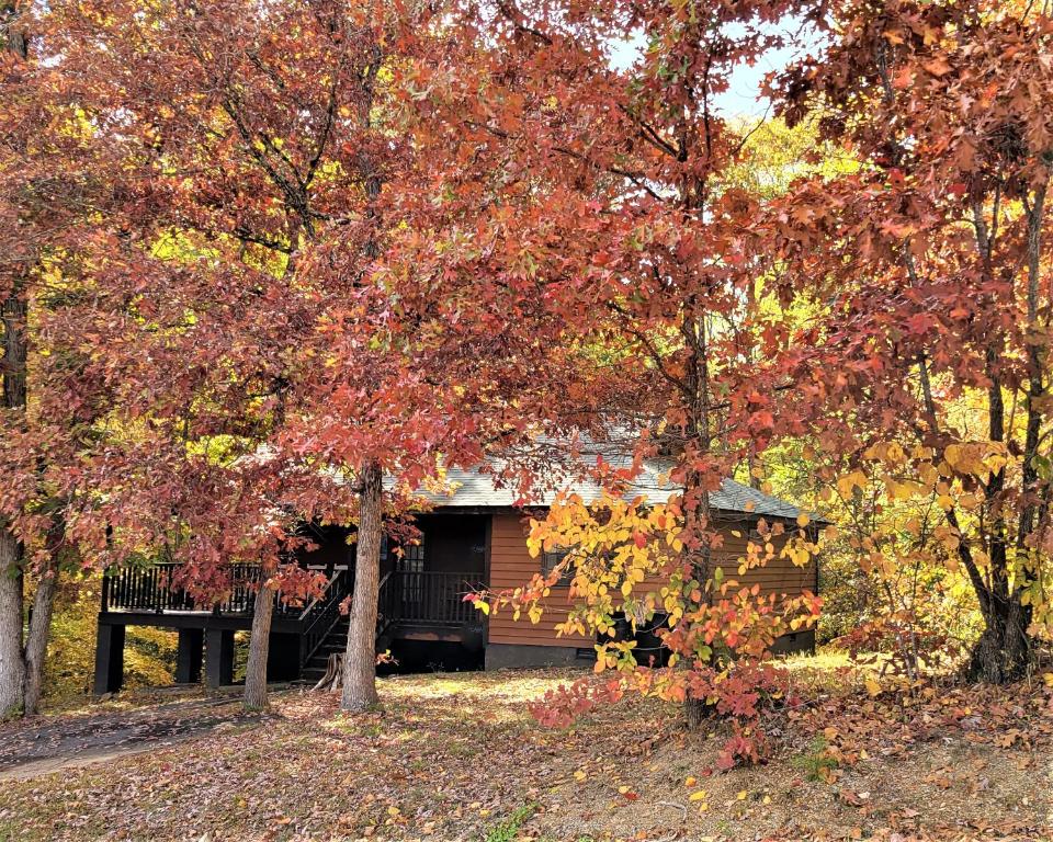 una casa oscurecida por los árboles en el otoño en Smoky Mtn Memories, en Pigeon Forge