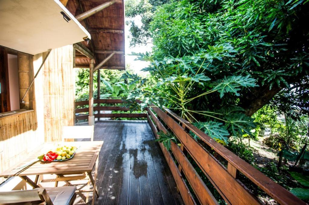 um banco de madeira num alpendre com uma taça de fruta em Shuit Bambou em La Trinité