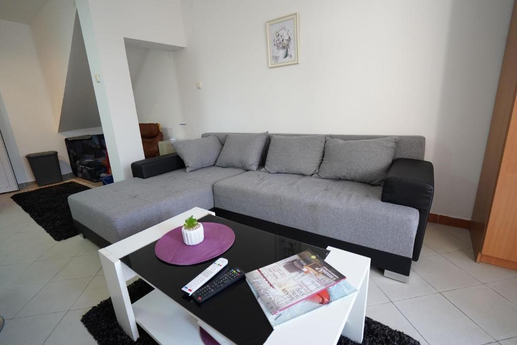 a living room with a couch and a table at IVA studio-apartment in Kladovo