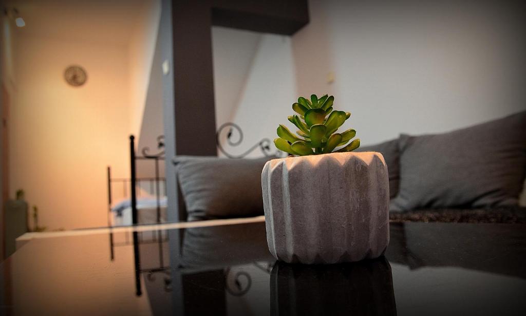 Posezení v ubytování IVA studio-apartment