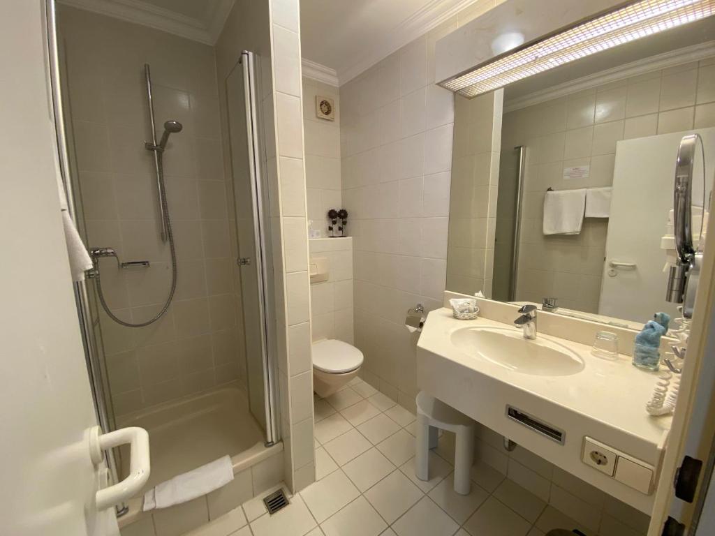 Hotel Hessischer Hof - Habitación Doble