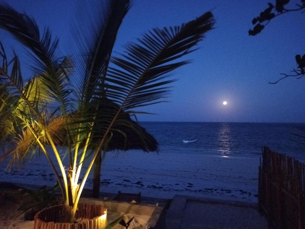 a palm tree on the beach at night at A Villa Sunshine house Zanzibar in Jambiani