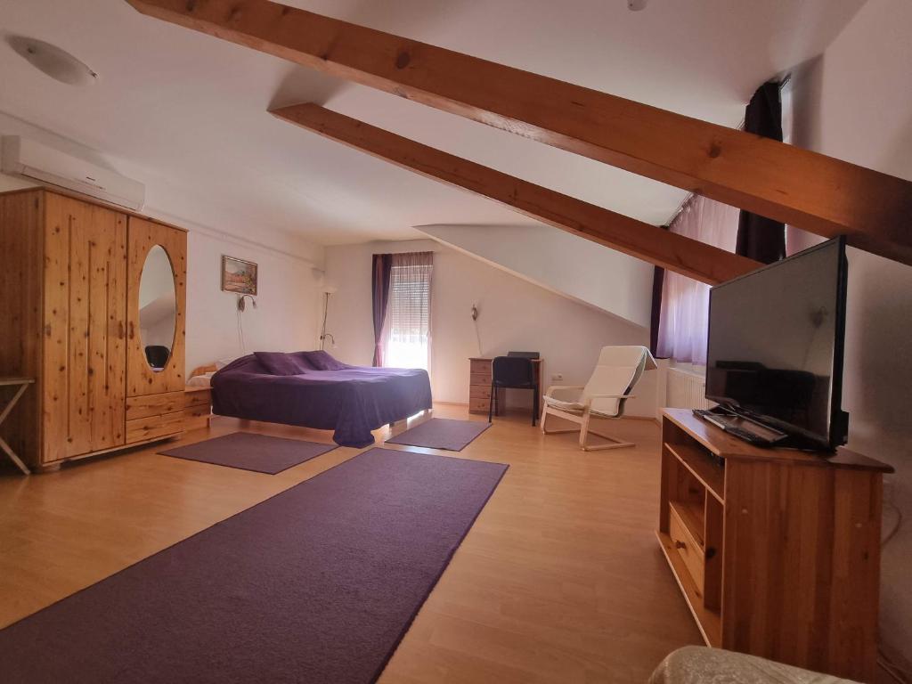 Televízia a/alebo spoločenská miestnosť v ubytovaní Hungaria Apartments