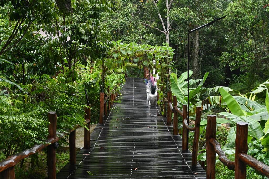 Zahrada ubytování Cascade Tara