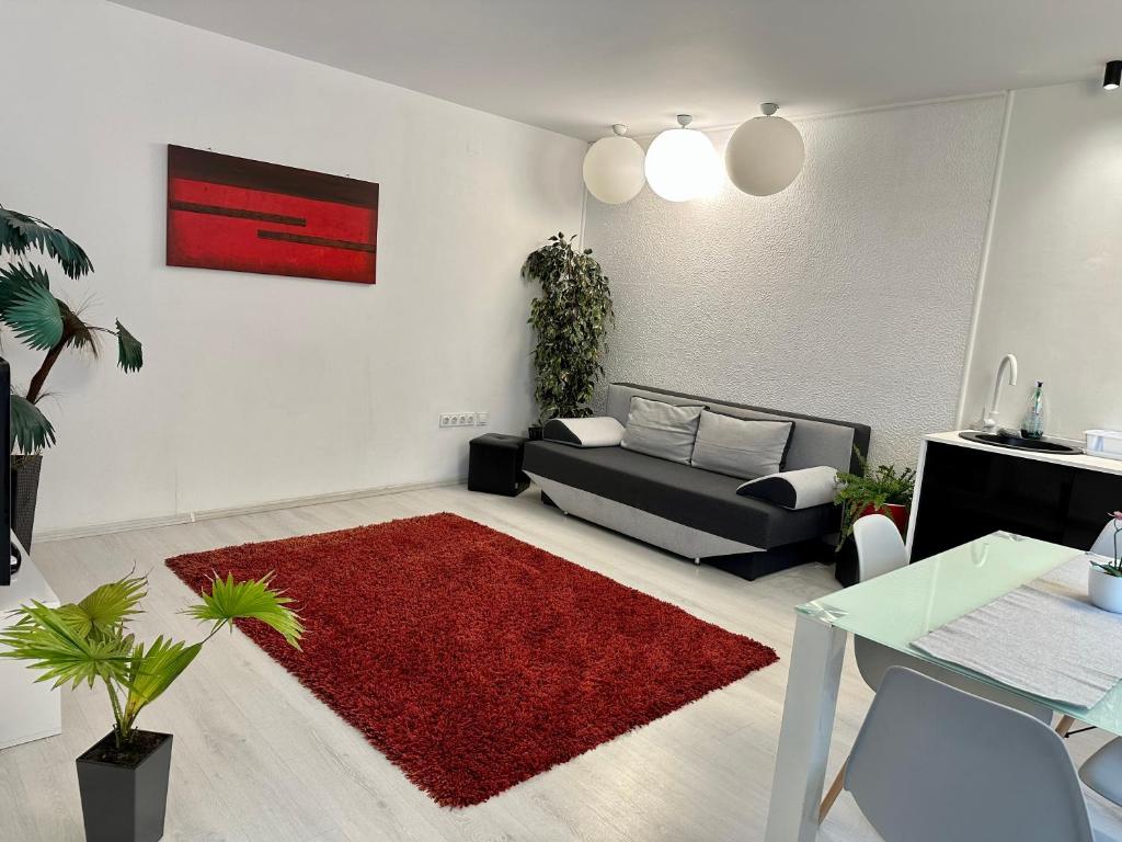 a living room with a couch and a red rug at Apartament in centrul Clujului in Cluj-Napoca