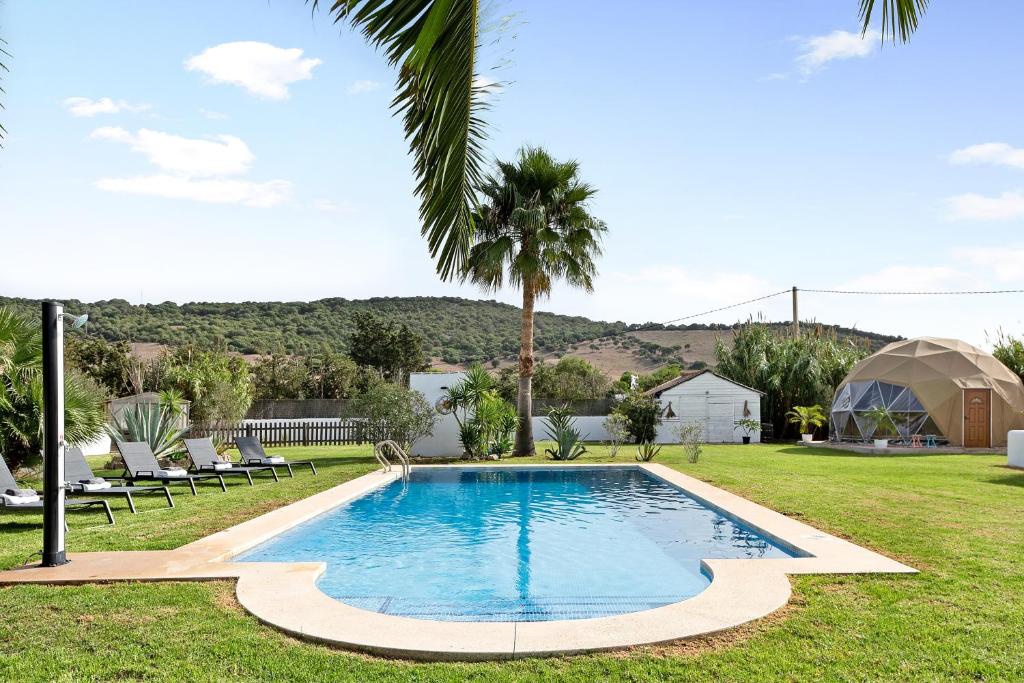 uma piscina num quintal com cadeiras e uma palmeira em Villalaluna lacasa em Vejer de la Frontera
