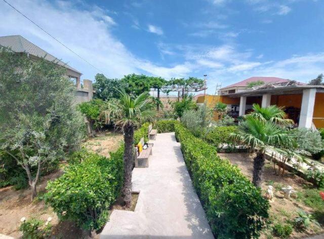 a walkway in front of a house with palm trees at дом в новханах у моря in Baku