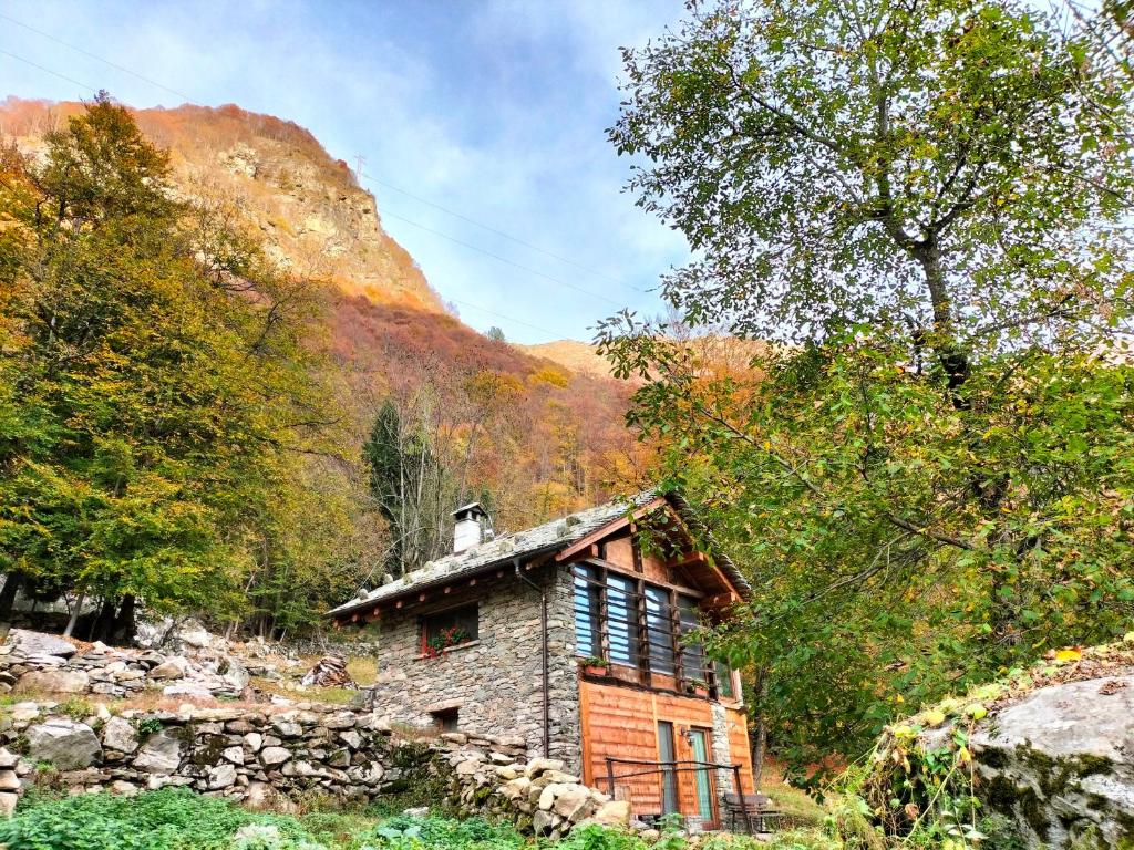 Paesaggio naturale nelle vicinanze dello chalet