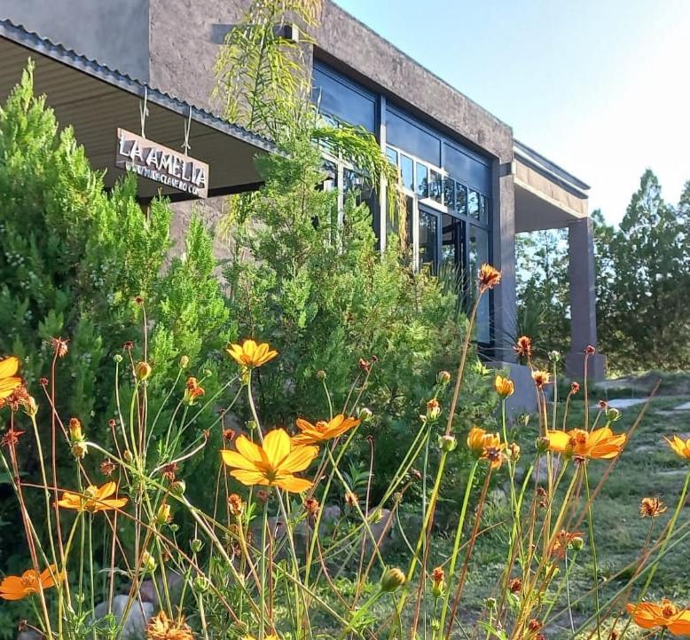 a garden with yellow flowers in front of a building at Cabañas Mina Clavero La Amelia in Mina Clavero