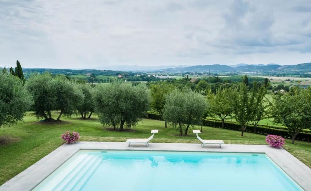 una piscina con 2 sillas y árboles en Favolosa Villa in Toscana, en Lucignano