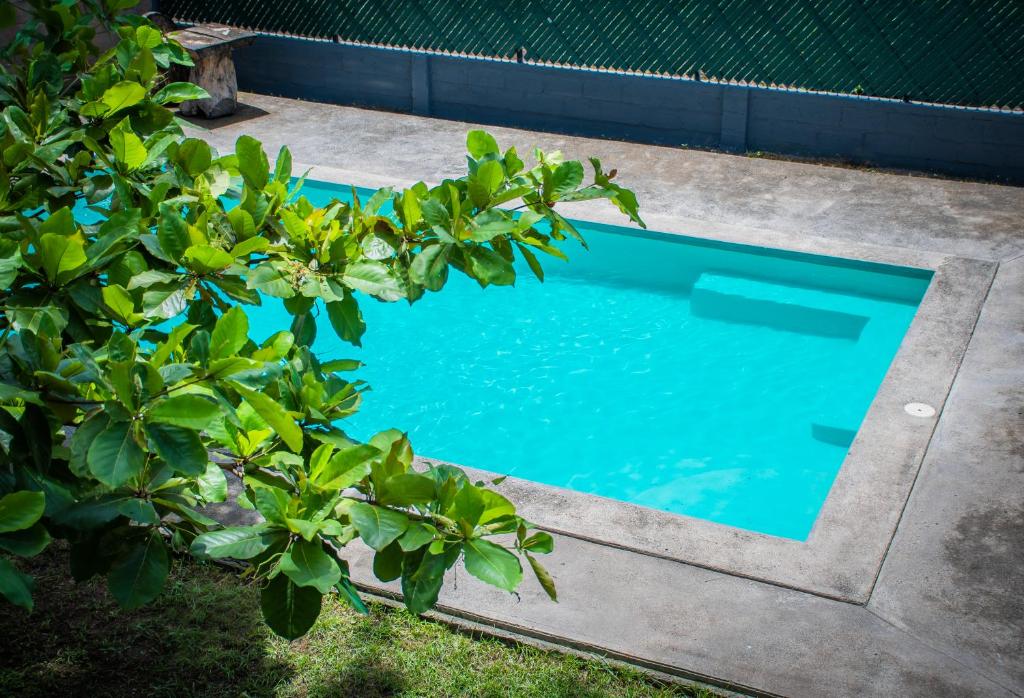 Imagen de la galería de Hostal Don Luis, en Santa Rosa de Lima