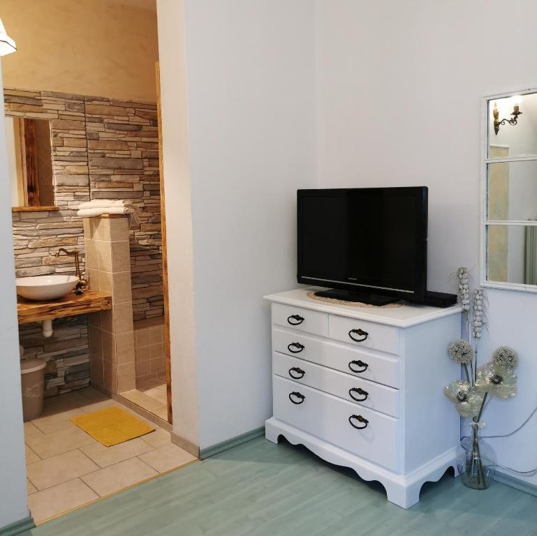 a television on top of a dresser in a bathroom at Apartmaji ARKO in Ribnica