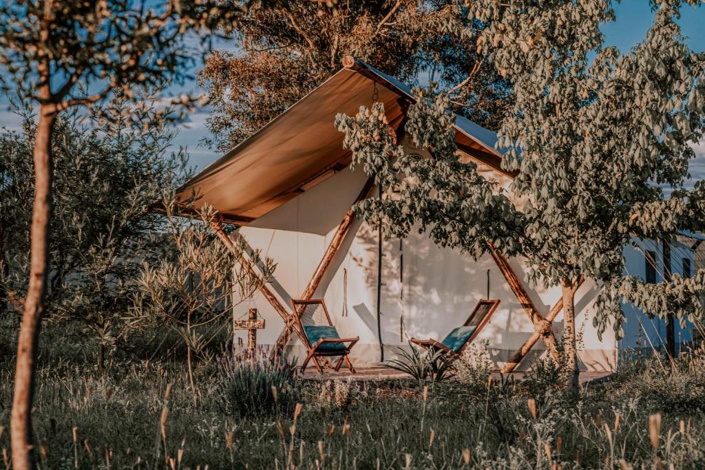 Příroda nedaleko luxury tent