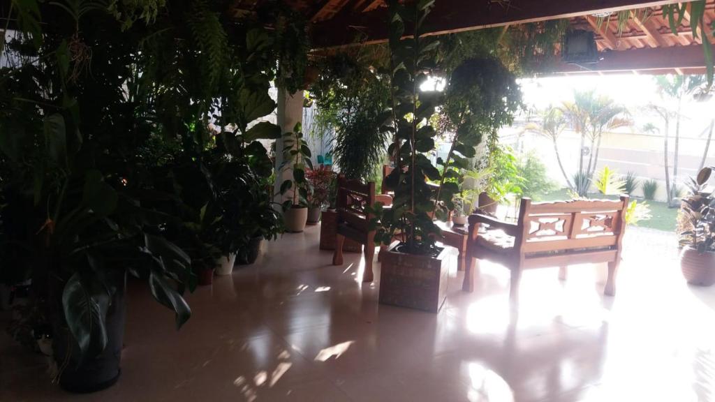 ein Zimmer mit einem Haufen Topfpflanzen und Bänken in der Unterkunft Hospedaria Alternativa Ser de Deus in Cachoeira Paulista